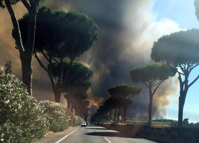 Incendio Castel Fusano: la causa è davvero il racket delle prostitute? Nel frattempo cosa fa il Comune? Fonte: Ansa