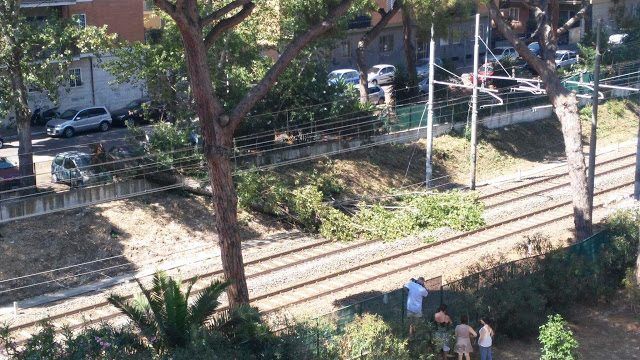 Roma-Lido, albero sui binari: attivi bus sostituivi ad Ostia Roma-Lido, albero sui binari: attivi bus sostituivi ad Ostia