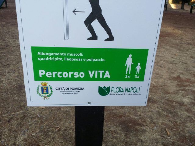 selva dei pini