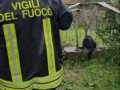 cane1