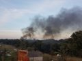 incendio campo rom16