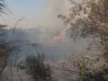 incendio Ardea5