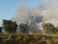 incendio Ardea6