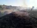 incendio-Pontina1