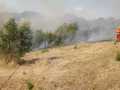 incendio-Pontina11