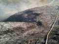 incendio-Pontina4
