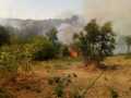 incendio-Pontina8