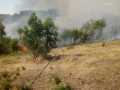 incendio-Pontina9