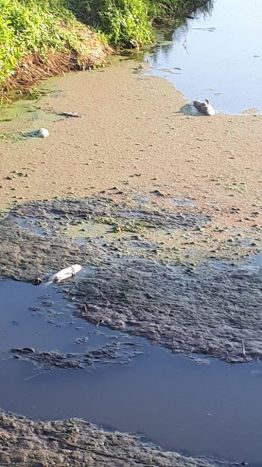 67401977_875159609550092_4885978637293060096_n