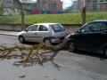 via singen2