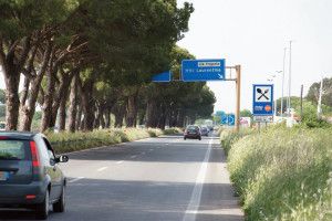 pontina segnaletica stradale e coperta dalla folta vegetazione,