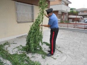 carabinieri droga