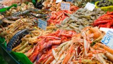 mafia al mercato del pesce di latina e cisterna