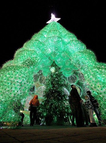 Albero Di Natale Ecologico.Nettuno Al Via Il Concorso Un Albero Di Natale Ecologico 2014