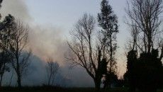 incendio s. procula (5)