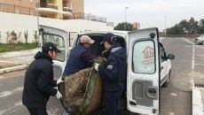 rifiuti pomezia pulizia casapound2