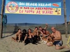 foto: Dog Beach Village
