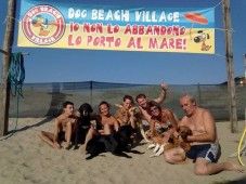 foto: Dog Beach Village