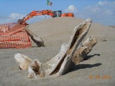 ostia canale dei pescatori