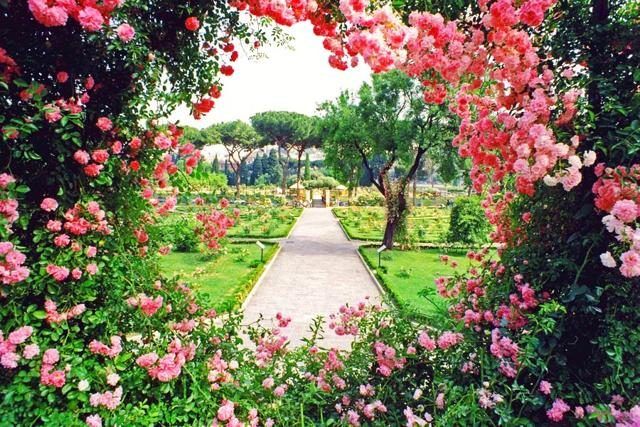 17-rosetocomunale-roma