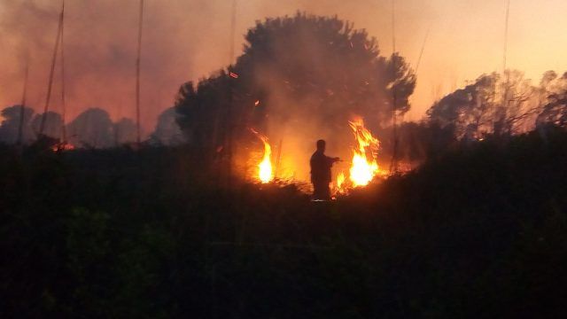 incendio fiumicino