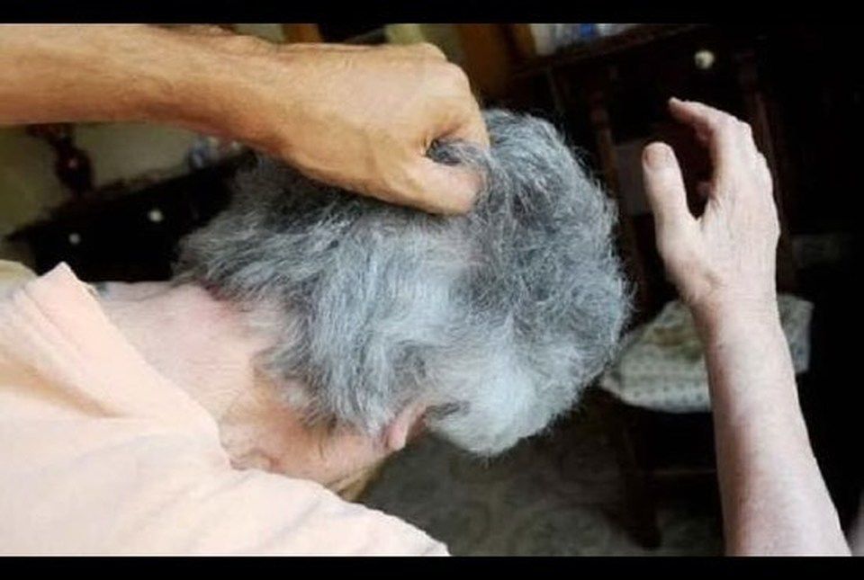 anziani picchiati in casa a Guidonia