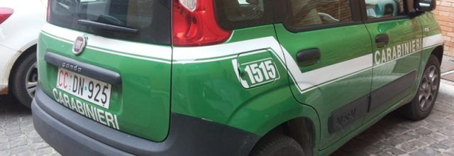 carabinieri forestale