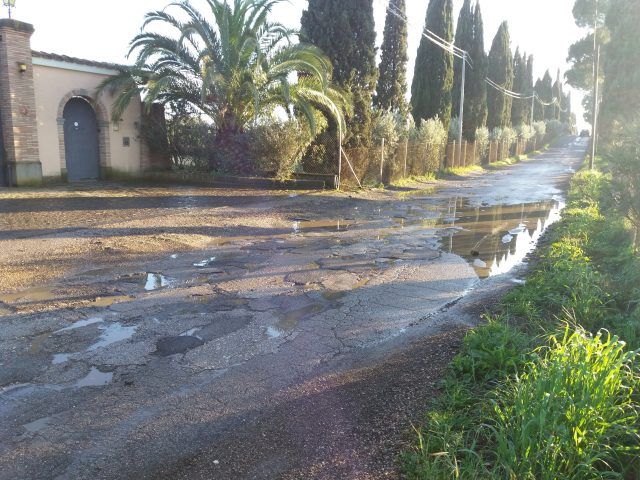 pontina campoleone