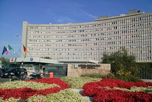 Topi nel reparto Covid dell' ospedale Sant'Andrea