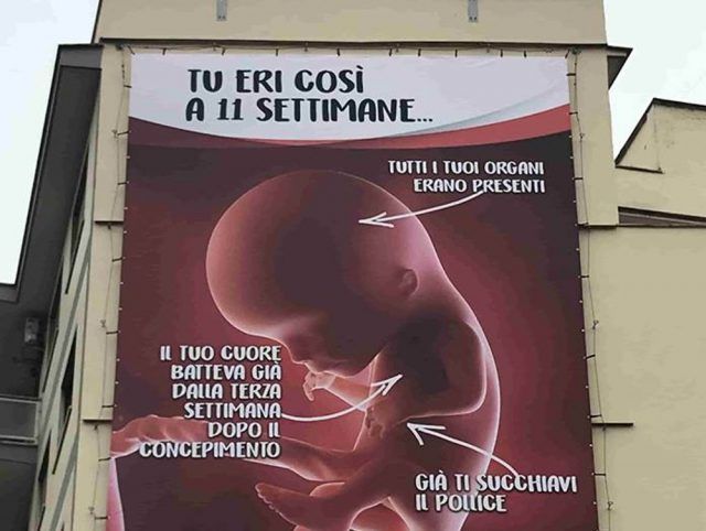 Provita