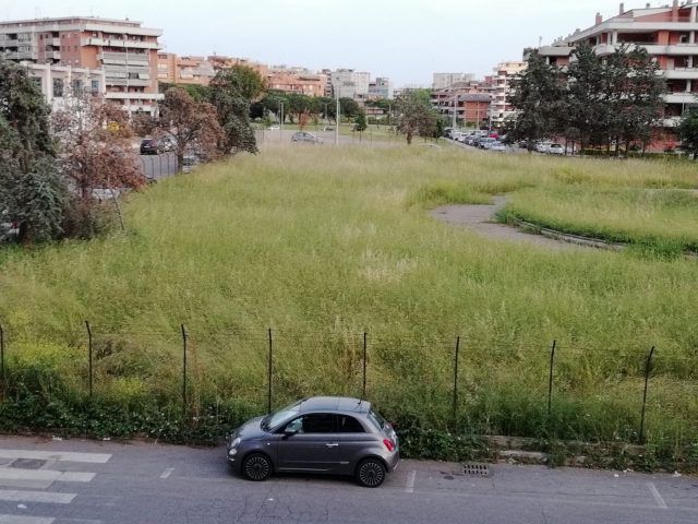 erba alta pomezia2