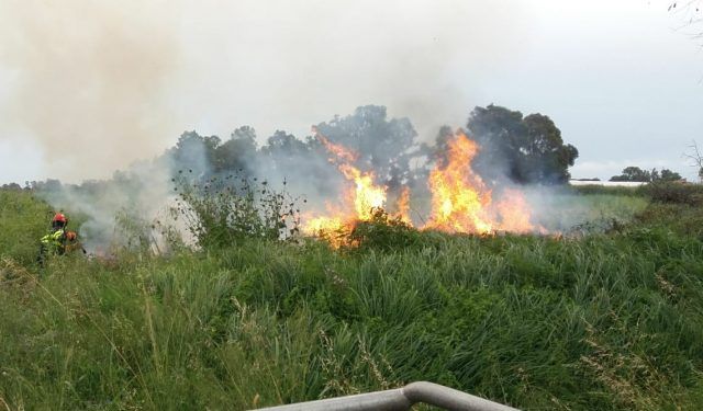 incendio salzare 2