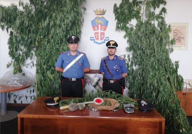 carabinieri marijuana