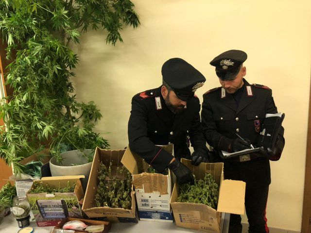 NRM - La droga sequestrata dai Carabinieri (1)
