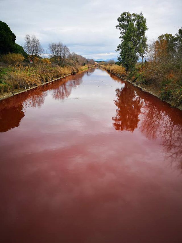 rio martino rosso