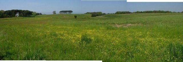 tenuta puccini