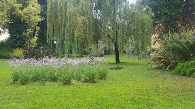 villa adele parco 1
