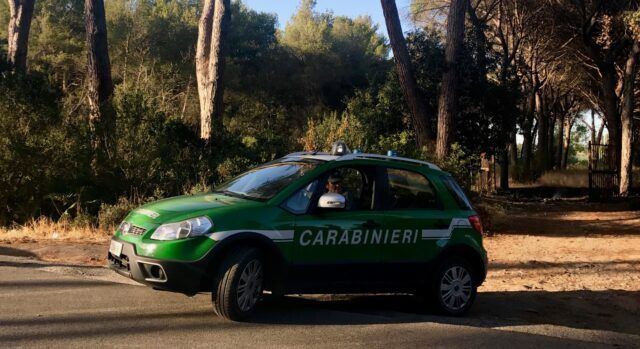 I Carabinieri nella pineta (1)