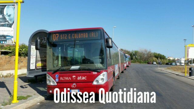 linea 07