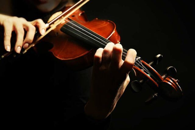 violino