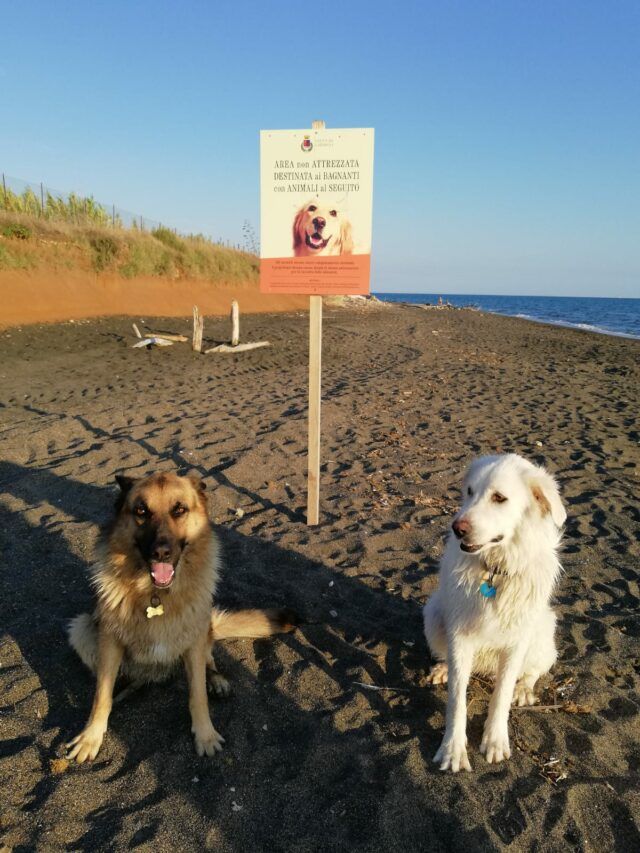 cani Ladispoli