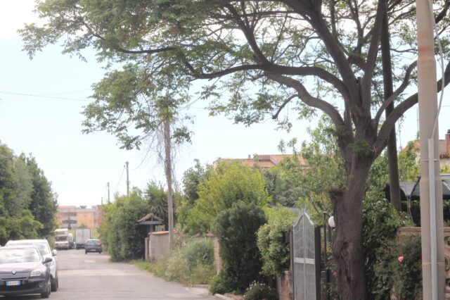 marina di ardea