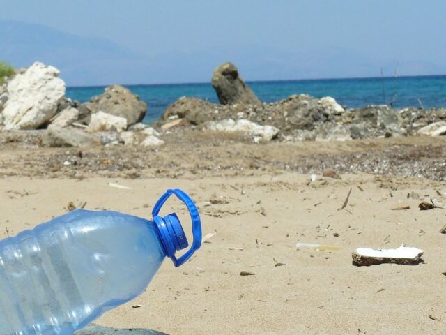 plastic-bottle-606881_1280-1068x801