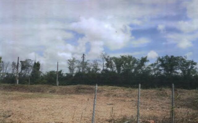 terreno-pulito-via-anzio-ferrovie-dello-stato-ardita ladispoli