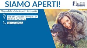ospedale veterinario pomezia