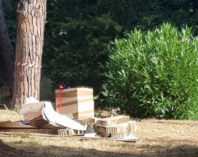 selva dei pini