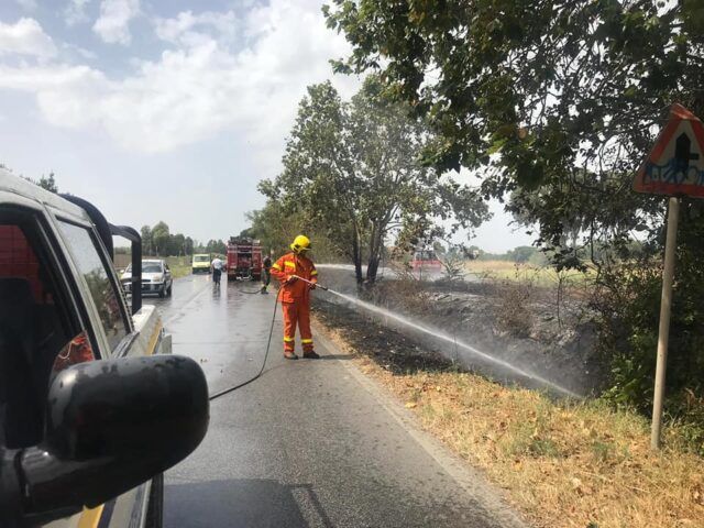 Torvaianica, piccolo incendio ed alberi caduti: intervengono vigili del fuoco e NOAL