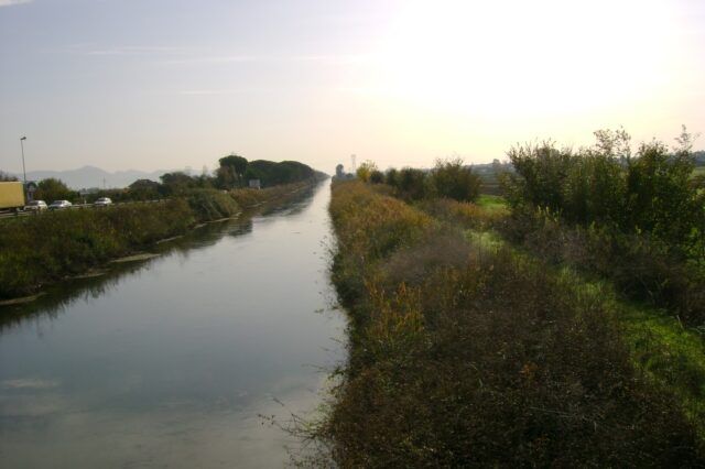 canale linea