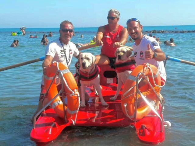 cani bagnini ostia