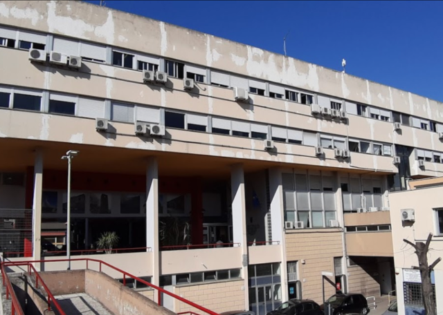 V municipio
